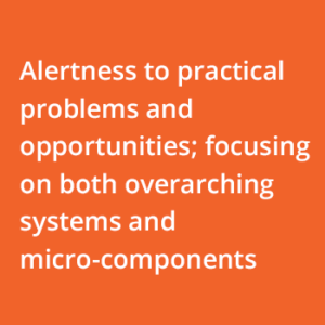Alertness to practical problems and opportunities; focusing on both overarching systems and micro-components