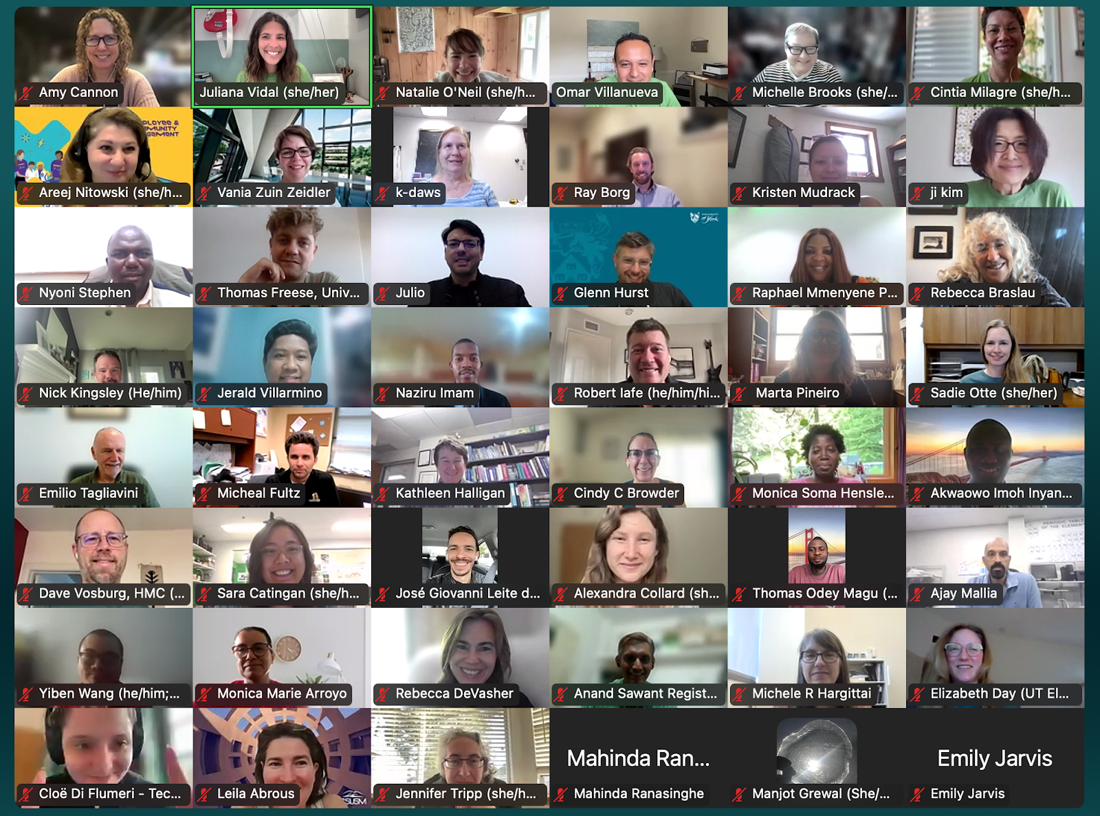Screenshot of attendees on camera during the virtual GCC Summit.
