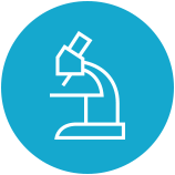 K12 Overview