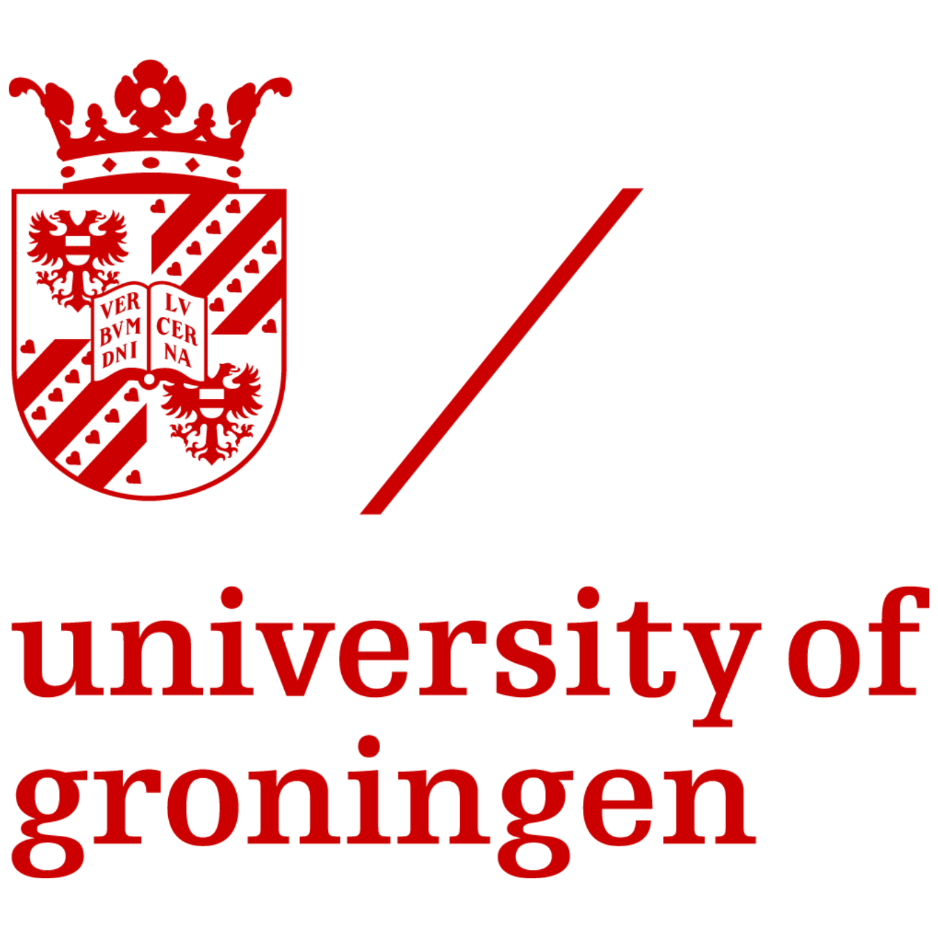 University of Groningen logo